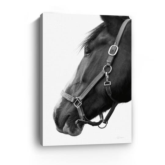 Lumaprints In Halter Canvas Giclée Art